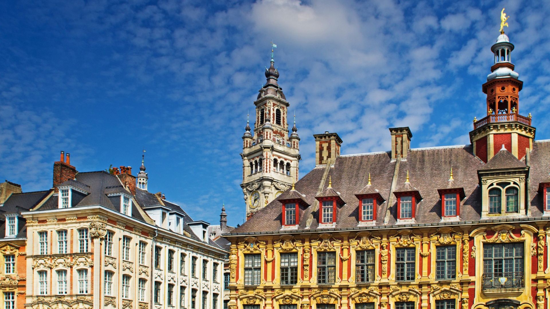 Our Favorites on Lille - Flandres